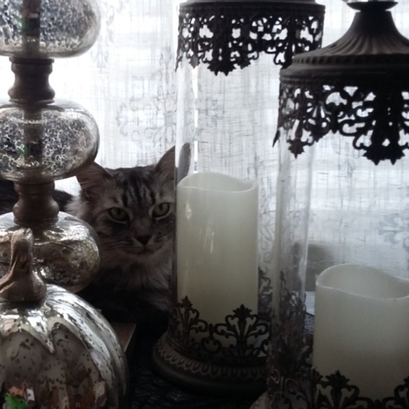 Meet your Posher, Clarisa - Picture 2 of 3